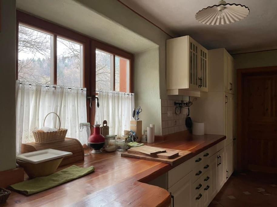 Traditional Slovenian house Apartment in Slovenia