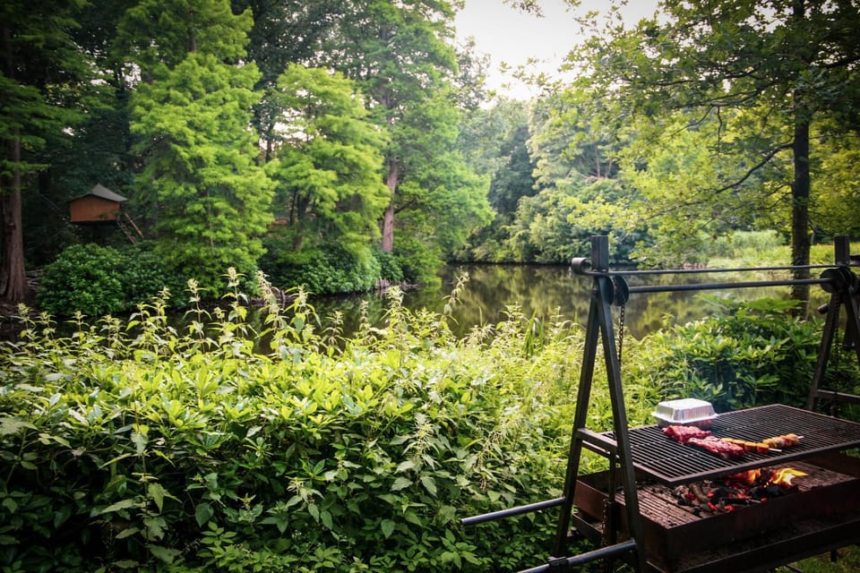 Natural landscape, BBQ facilities, BBQ facilities