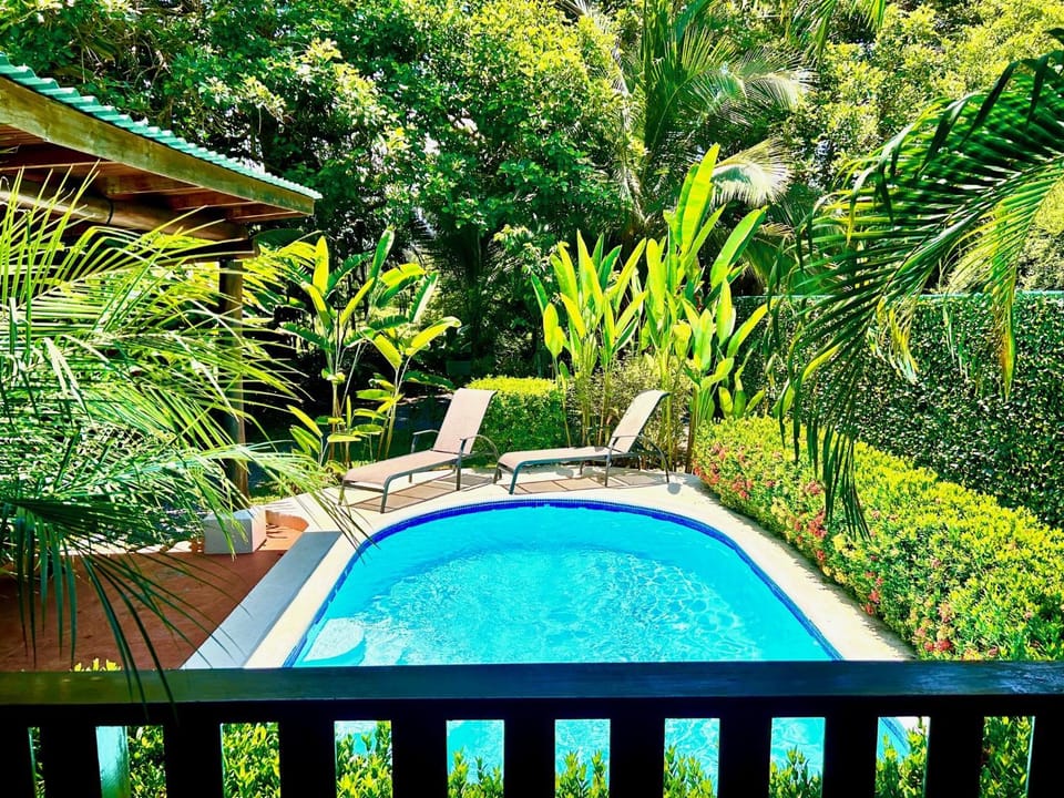 Patio, Day, Natural landscape, Garden, Garden view, Pool view, Swimming pool, sunbed
