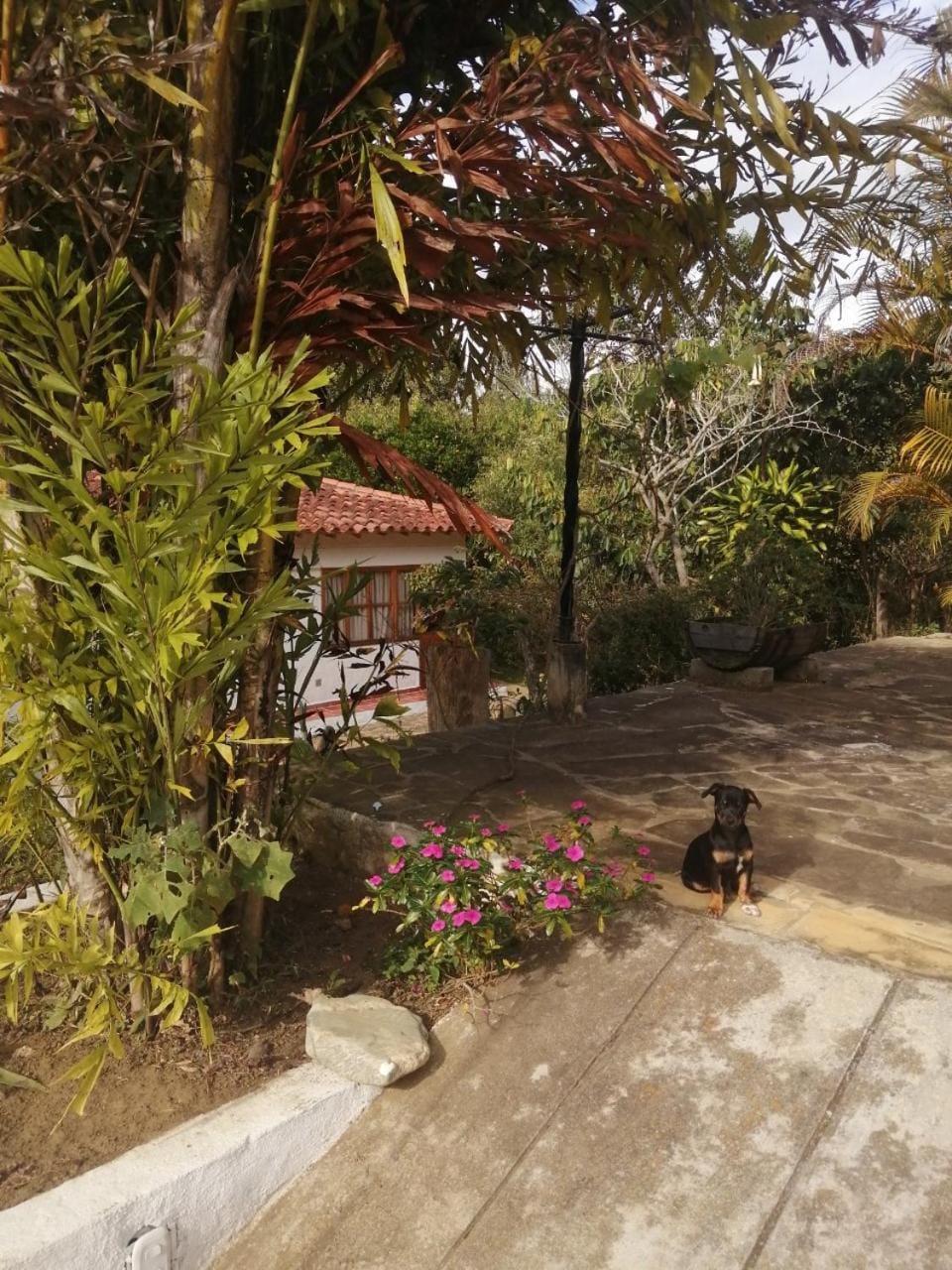 Hotel Ecoposada Viña de Aldana Inn in Santander, Colombia