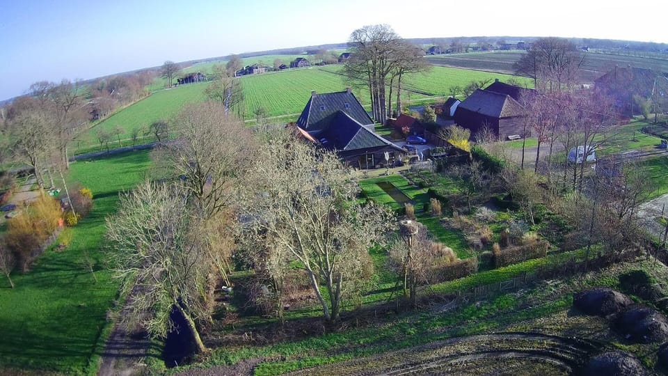 Bird's eye view, Garden view, Street view