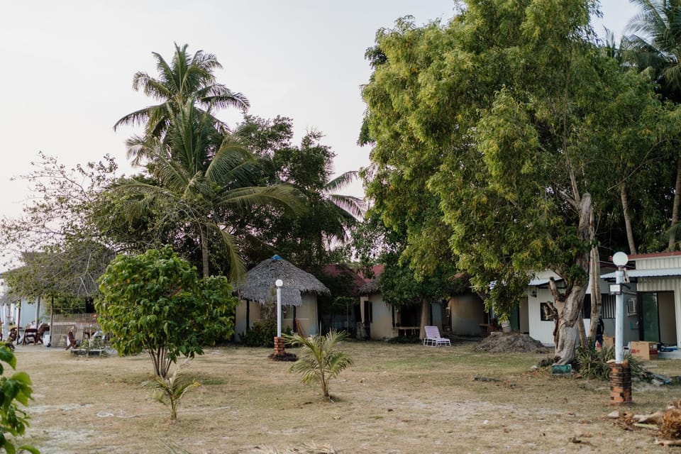 Property building, Garden, Garden view