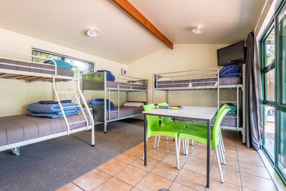 Bed, Photo of the whole room, Seating area, Dining area, bunk bed