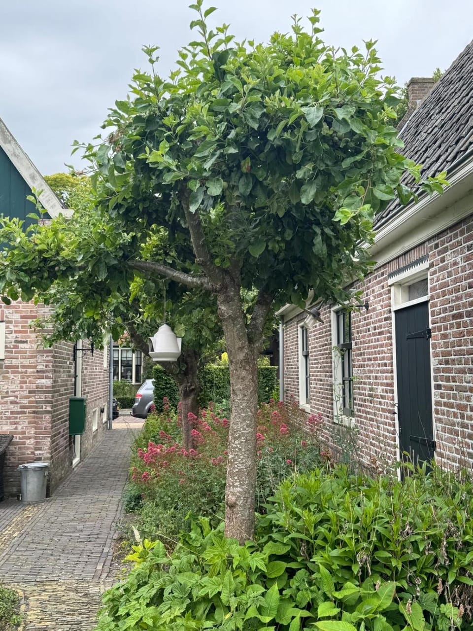 Loft - Stadsplekje Apartment in North Holland (province)