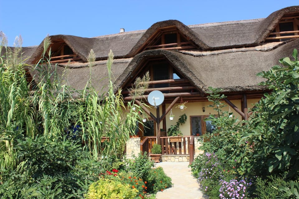 Pensiunea Heracleea Bed and Breakfast in Constanța County
