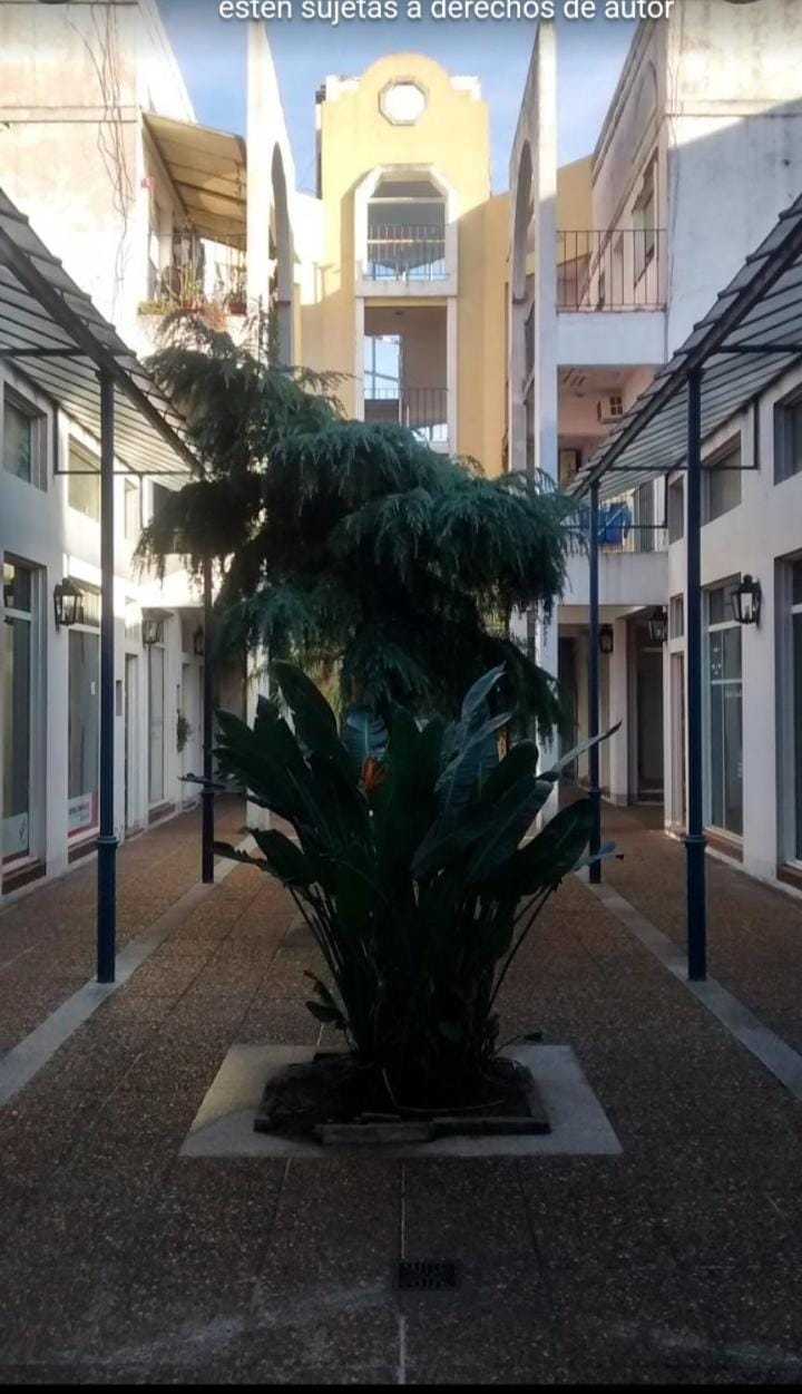 Departamento Céntrico Zona Basílica de Luján Apartment in Luján