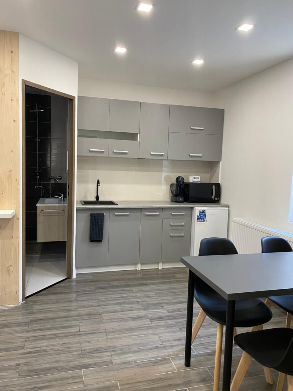 Kitchen or kitchenette, minibar, stove