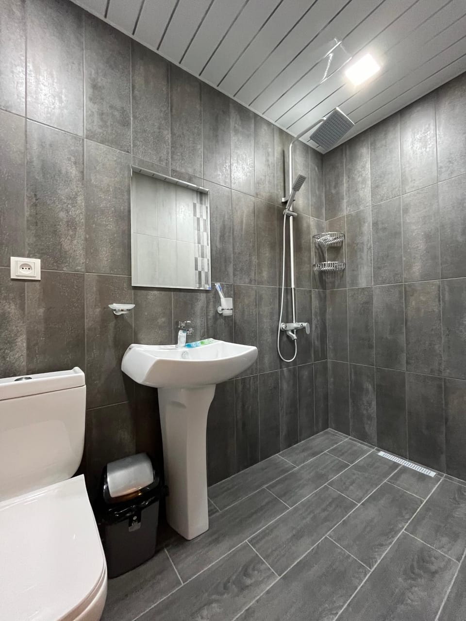 Shower, Toilet, Bathroom