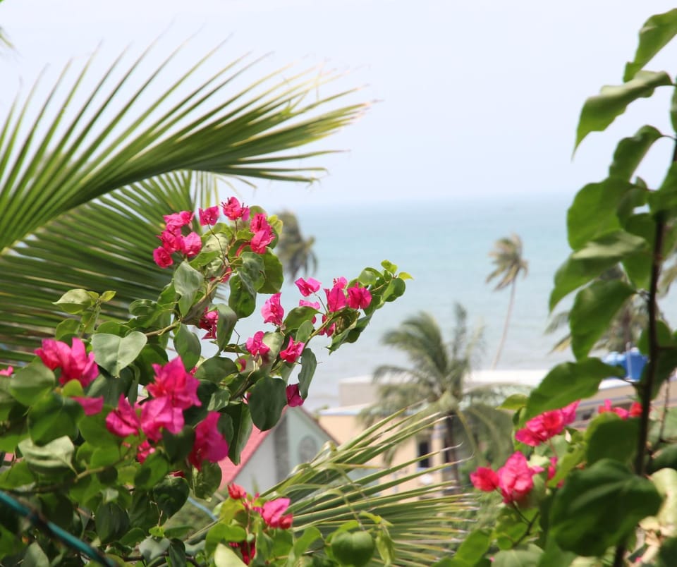 Natural landscape, Garden, Garden, Garden view, Sea view