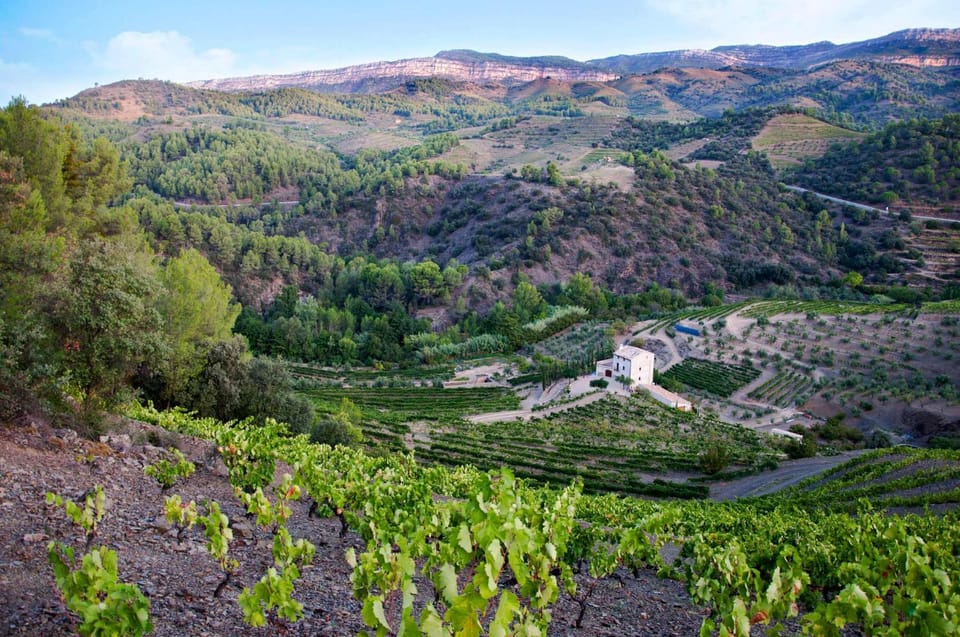 MAS ALSERA. Masoveria d'Agroturisme Country House in Costa Daurada