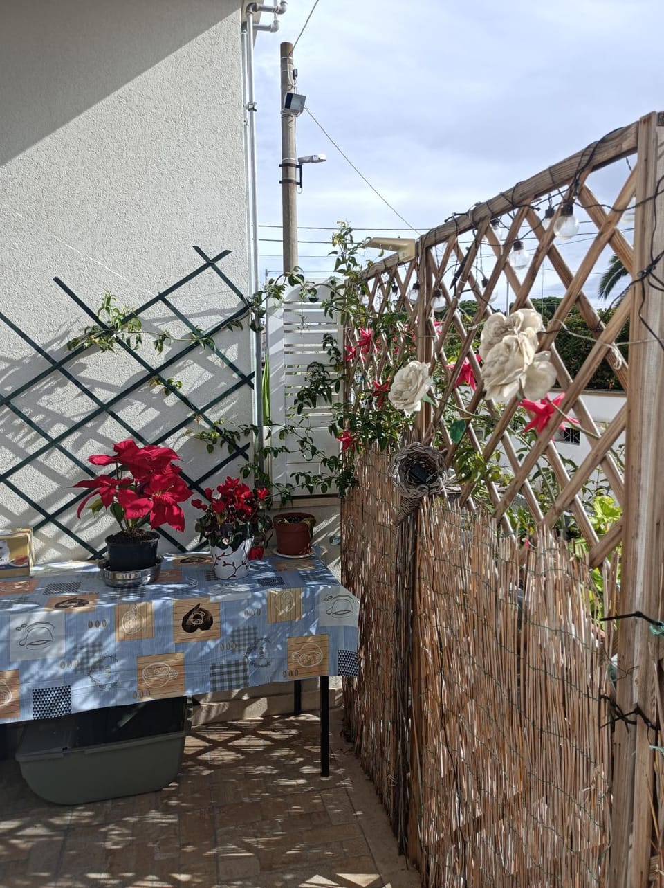 Villetta fiorita House in Province of Taranto