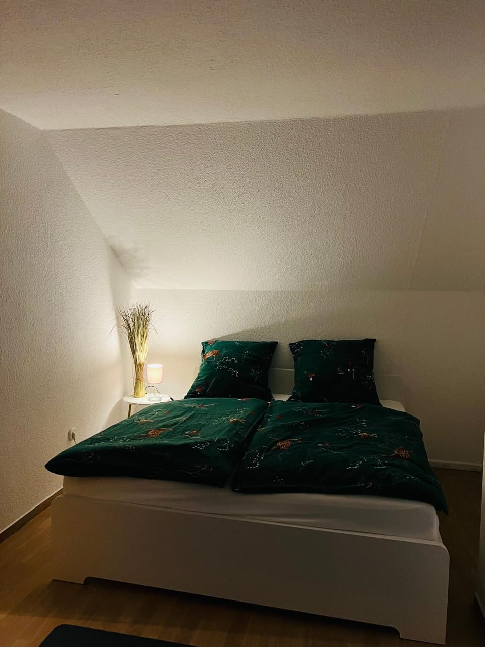 Ferienwohnung Nannerl Apartment in Bad Sachsa