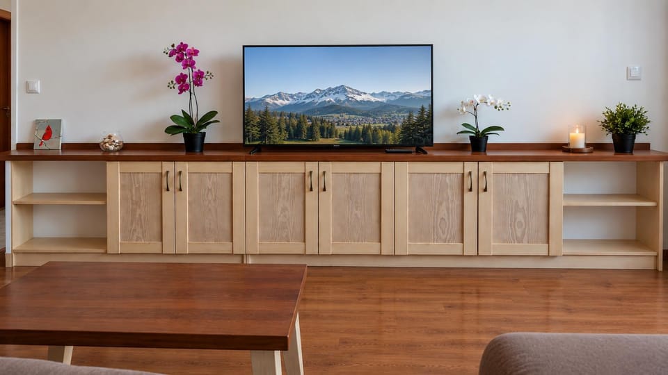 TV and multimedia, internet