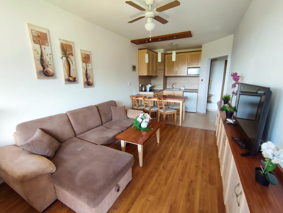 TV and multimedia, Kitchen or kitchenette, Seating area, pet friendly, stove, air conditioner