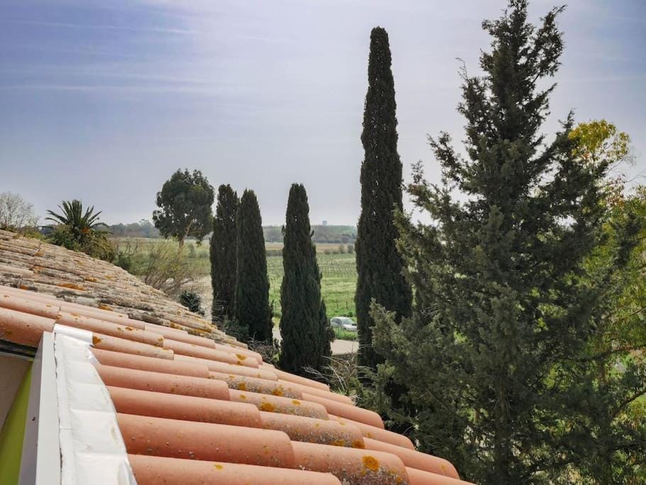 Grand duplex de charme en pleine campagne Apartment in La Londe-les-Maures