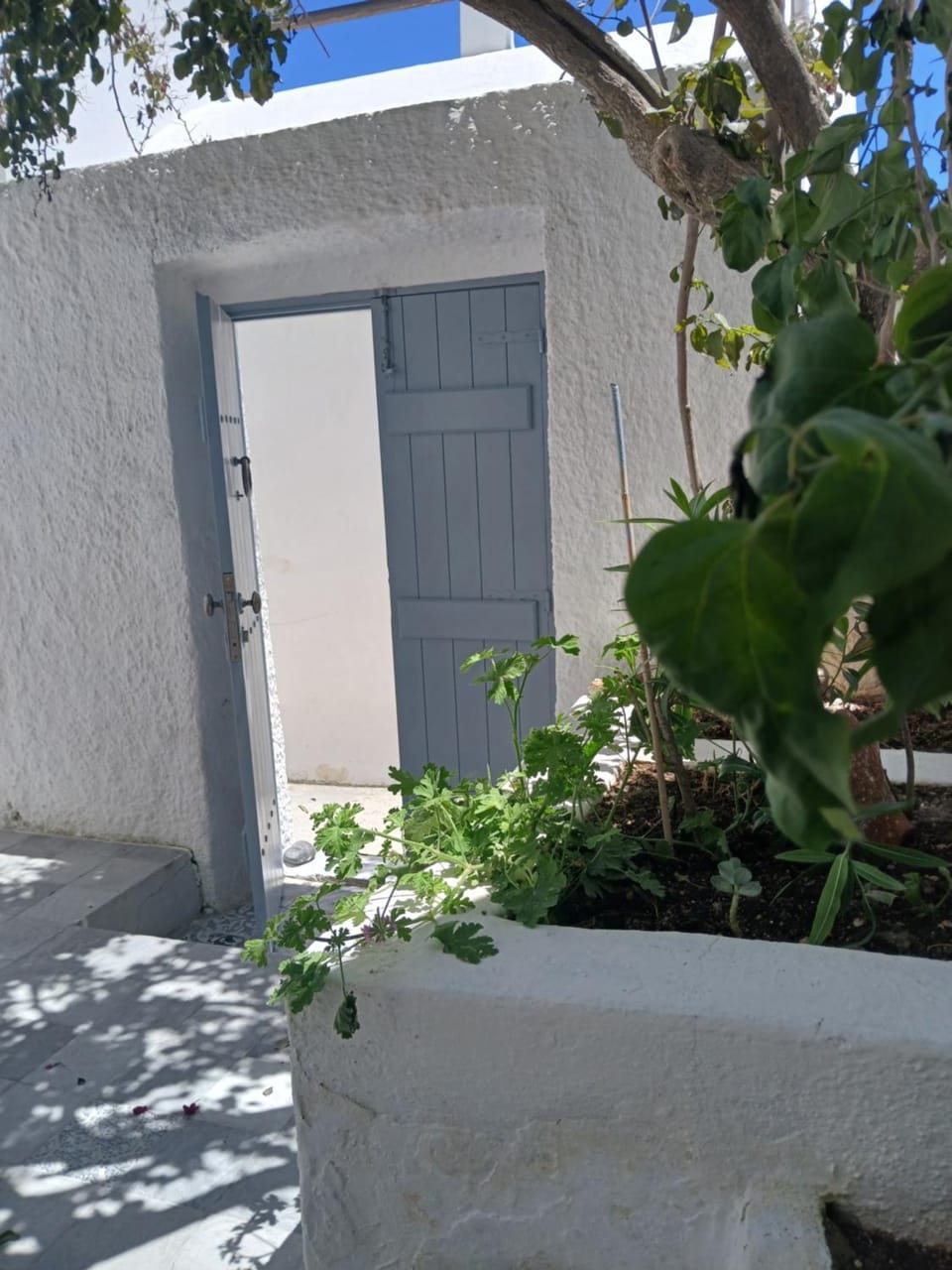 Facade/entrance, Garden view