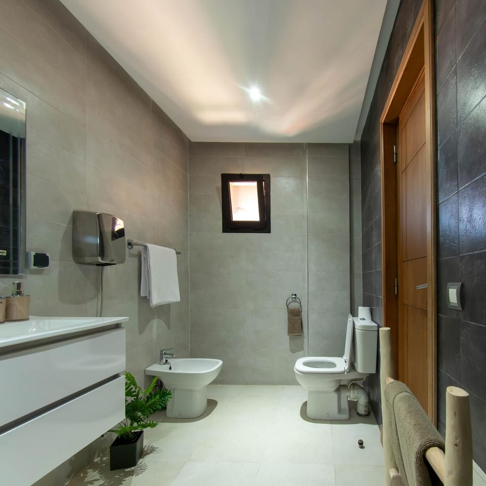 Shower, Toilet, Bathroom, bidet