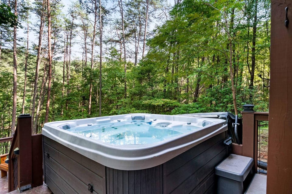 Lakeside Retreat Hot Tub Fishing Hiking House in Georgia