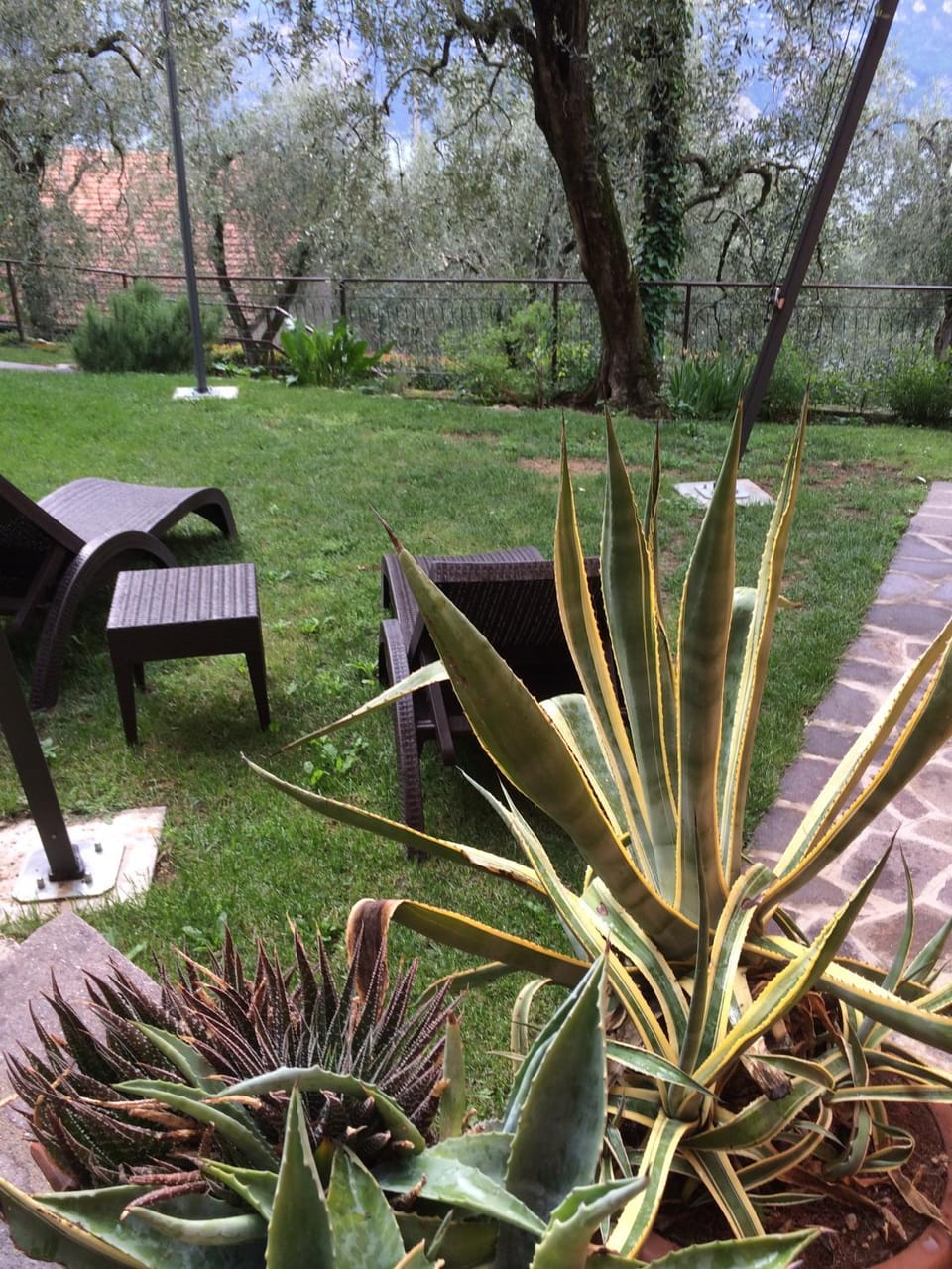 Lake View Tonini Apartments Apartment in Malcesine