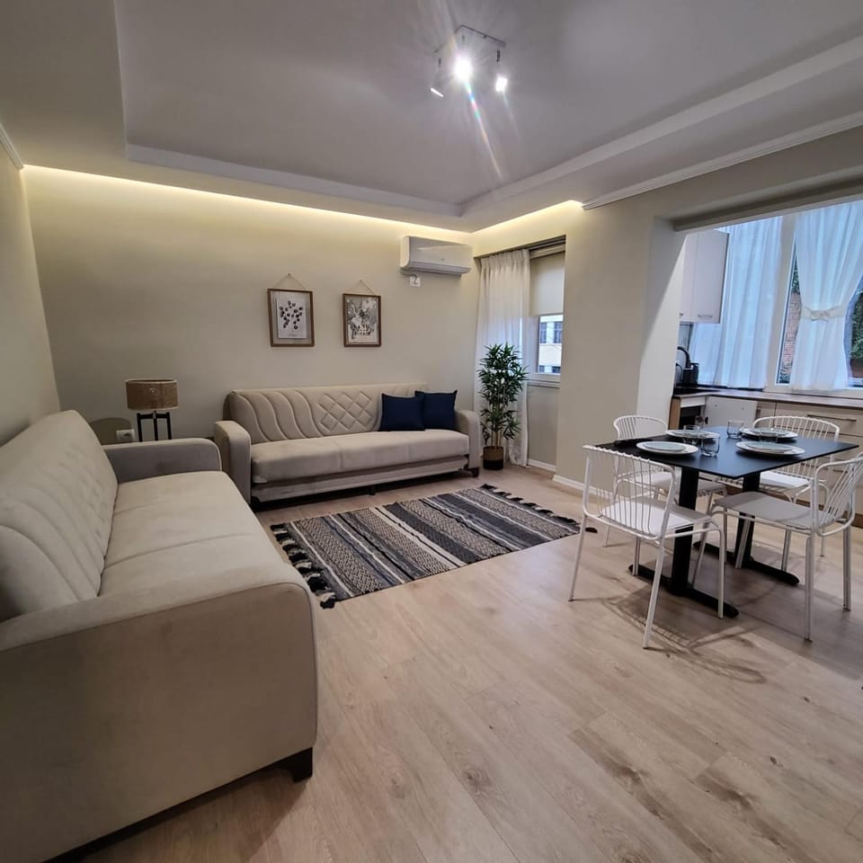 Living room, Seating area, Dining area, air conditioner