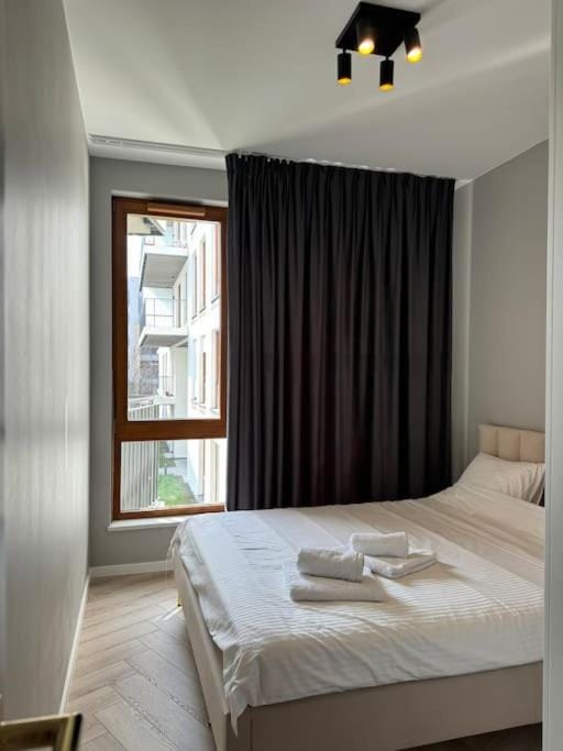 Cozy Kingdom Apartment in Warsaw