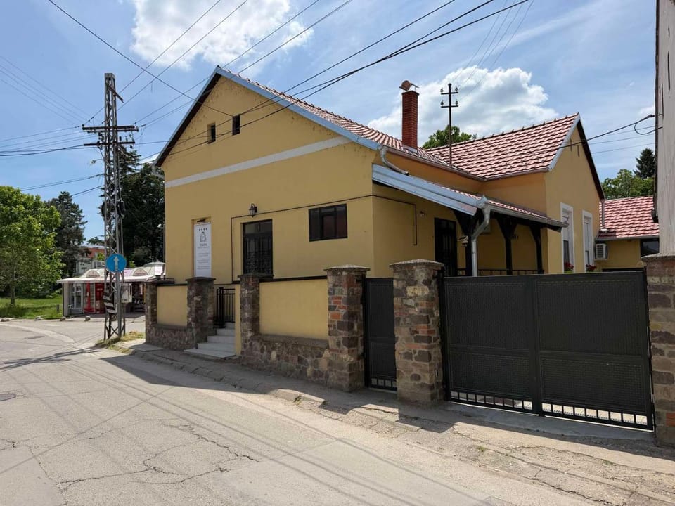DANA GUEST HOUSE Villa in Novi Sad