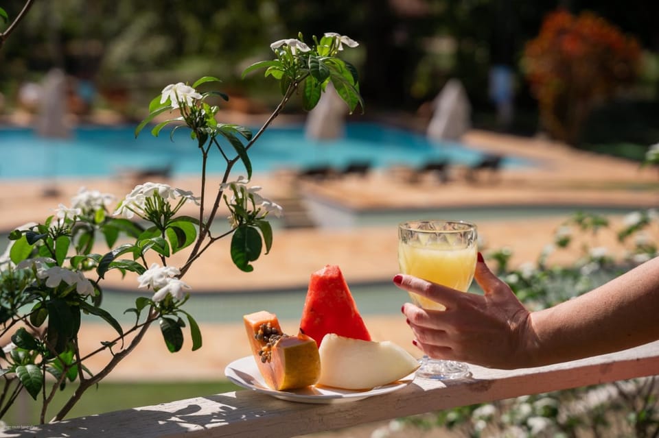 Day, People, Food, Garden view, Swimming pool