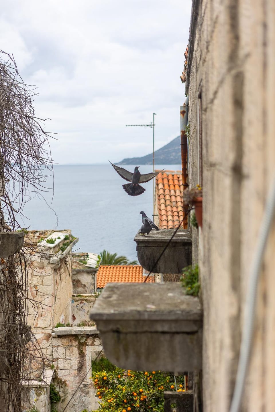 Day, Natural landscape, Sea view
