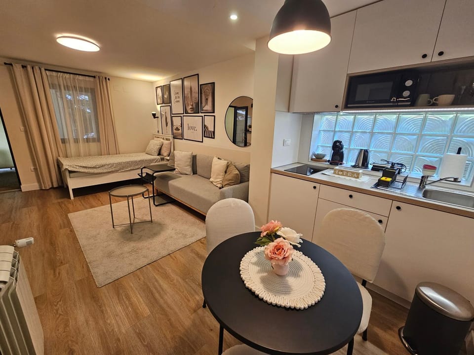 Vukajlo Petit Apartment in Belgrade