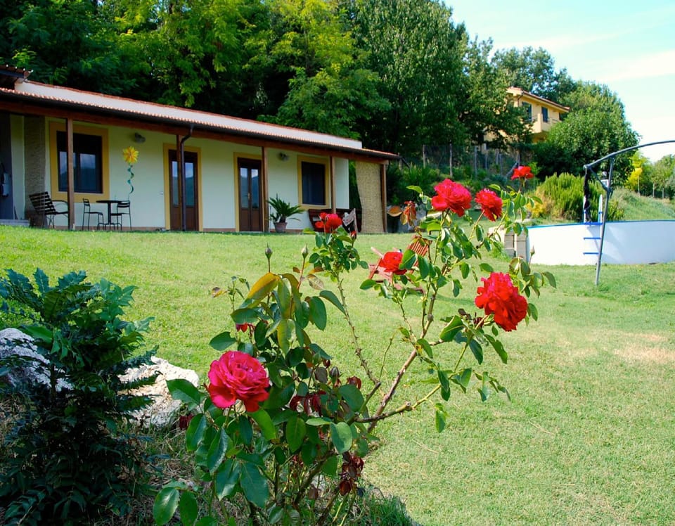 Patio, Facade/entrance, Bird's eye view