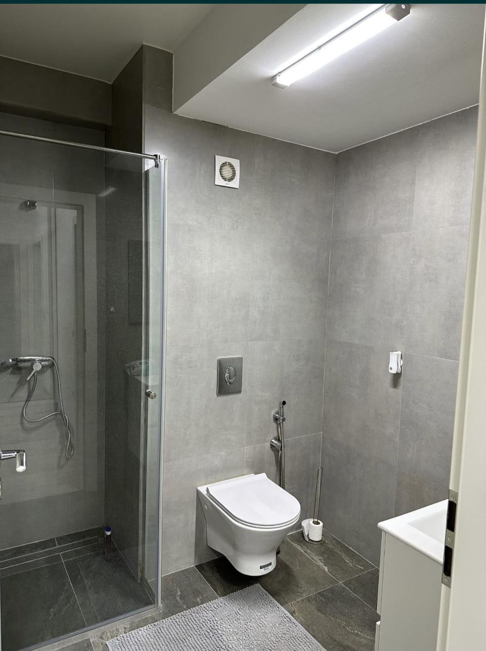 Shower, Toilet, Bathroom, bidet