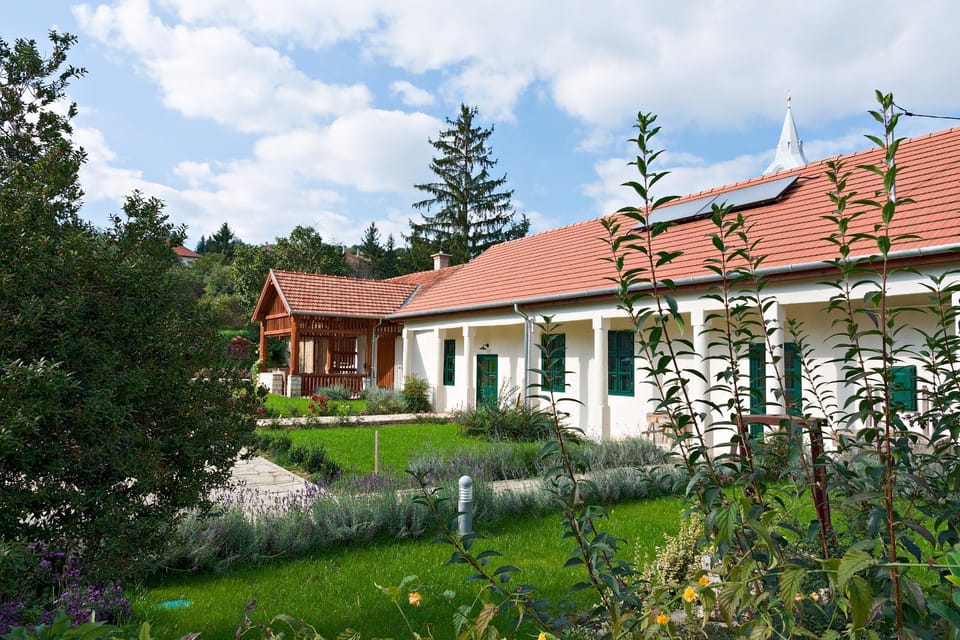 Barta Pince Vendégház Mád Bed and Breakfast in Slovakia