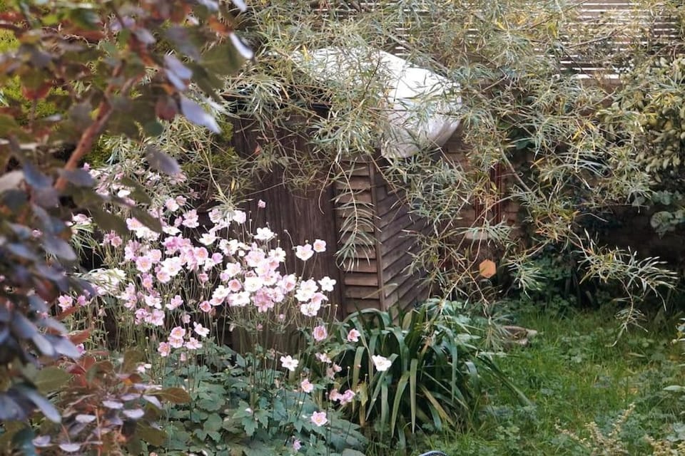 Cosy 1 bedroom with garden 2 min from seafront Apartment in Hove