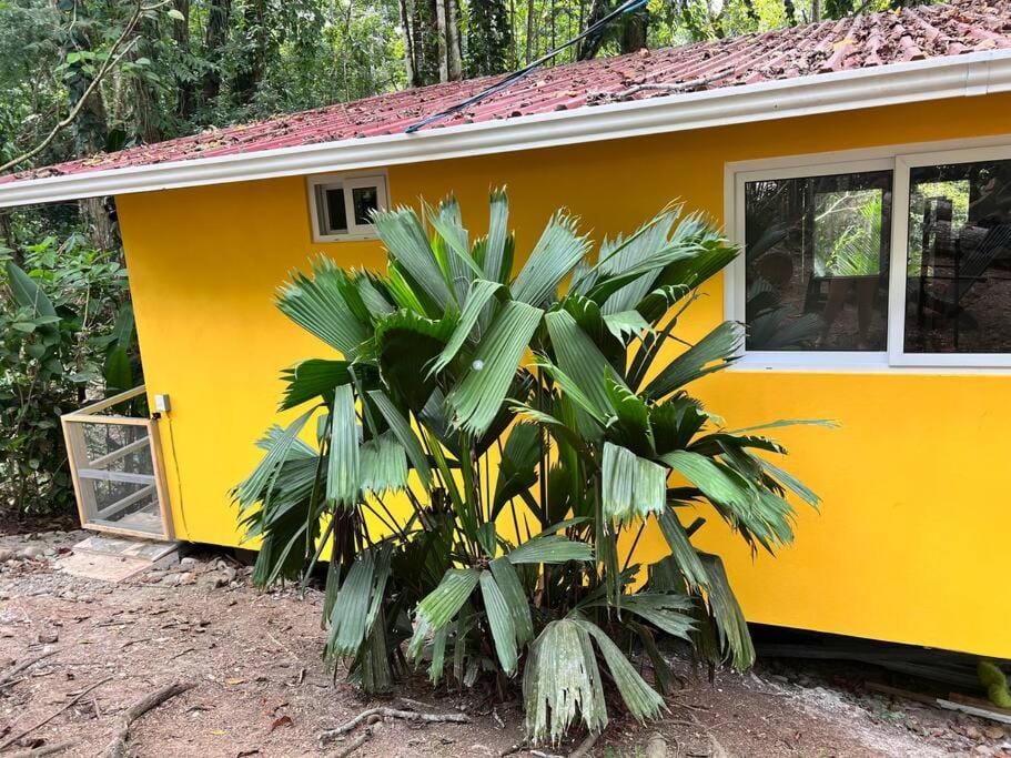 Tiny jungle house, few minutes from the beach House in Panama