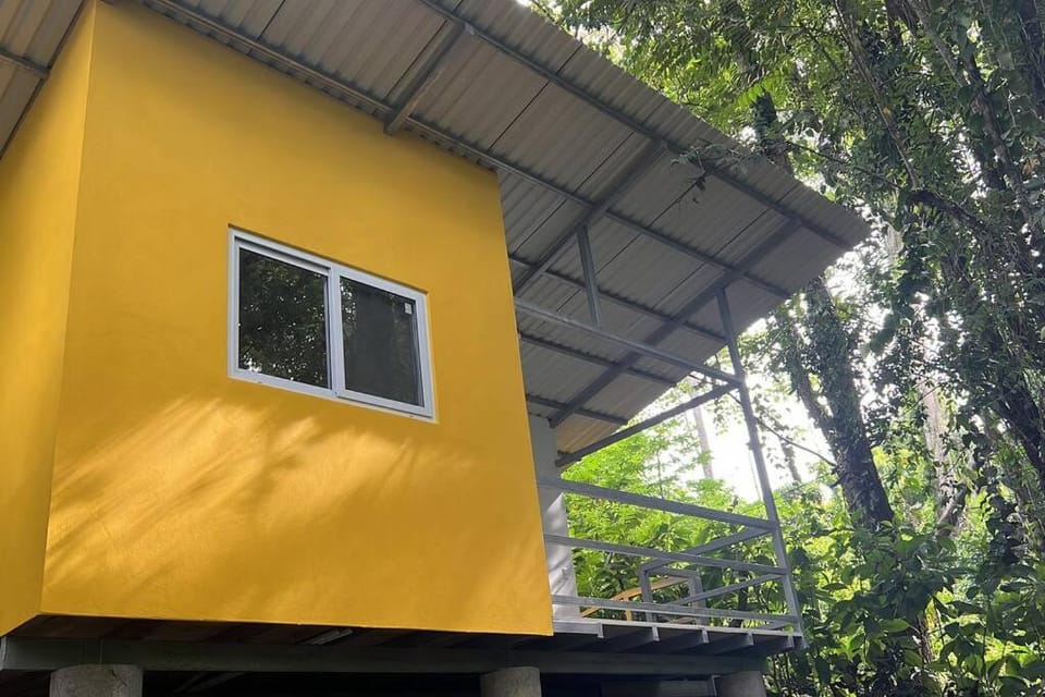 Tiny jungle house, few minutes from the beach House in Panama