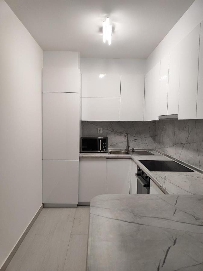 Kitchen or kitchenette, dishwasher, minibar, oven, stove