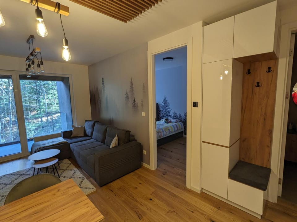 Living room, Photo of the whole room, Seating area, Bedroom, wardrobe