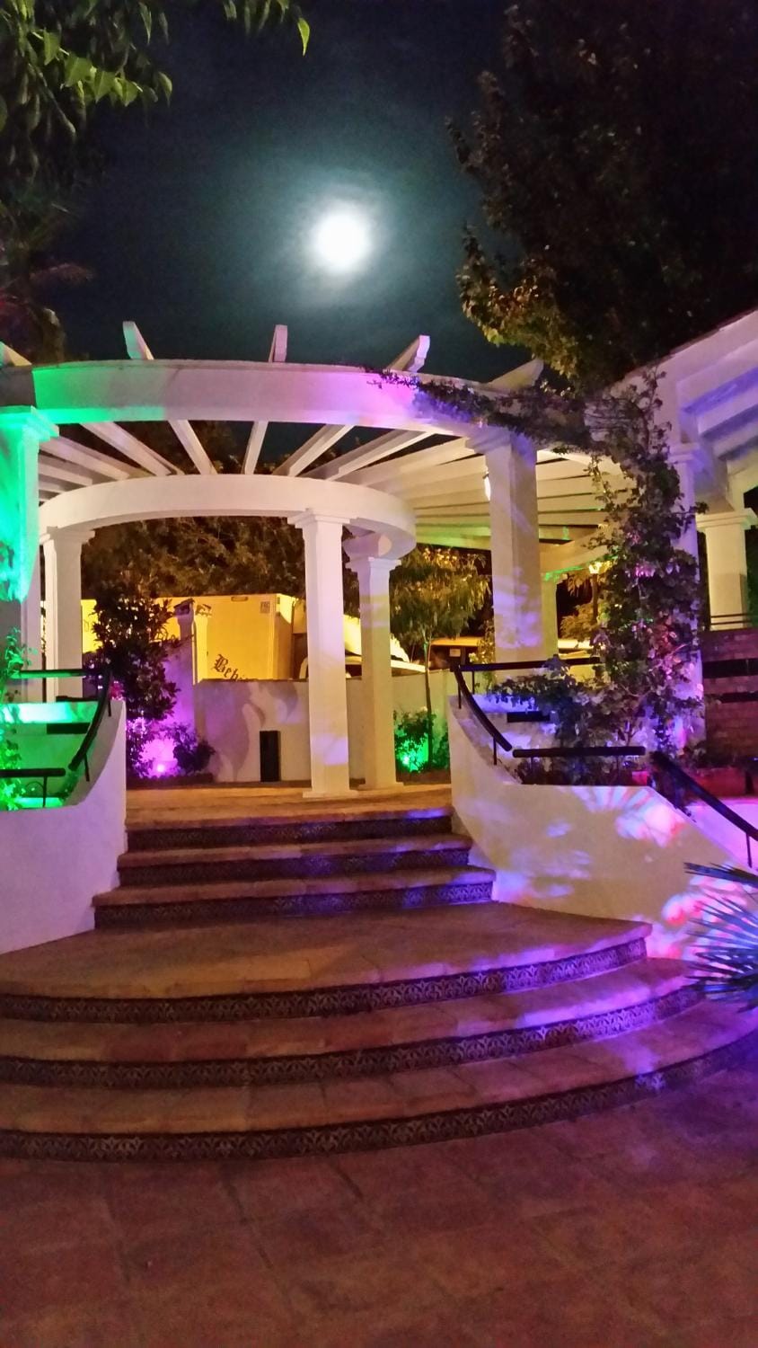 Patio, Garden, Swimming pool