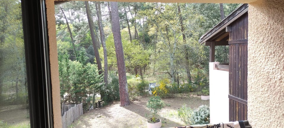 Garden, Garden view