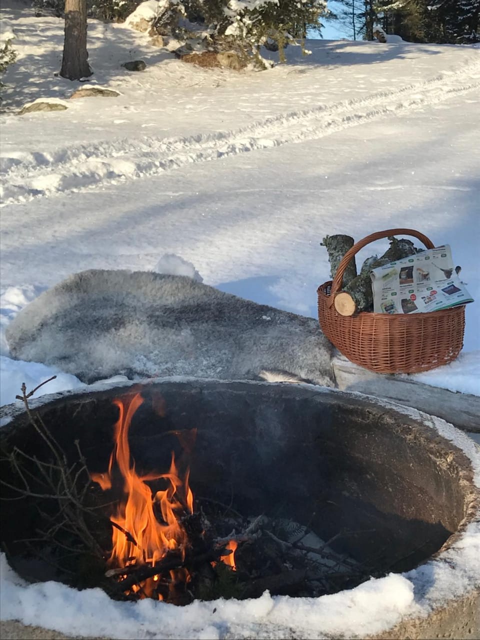 BBQ facilities