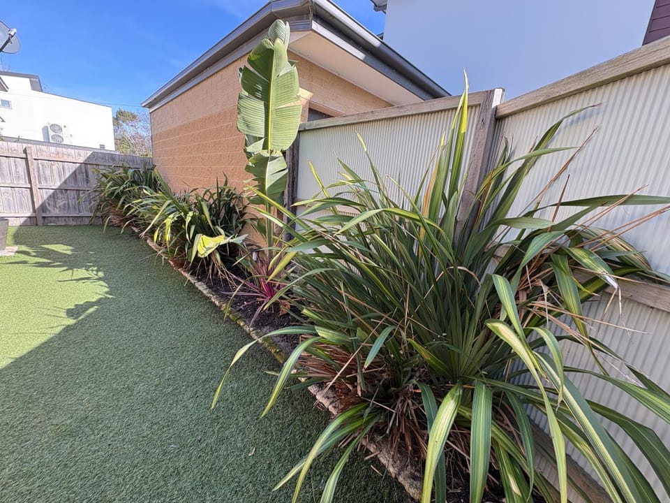 Garden view