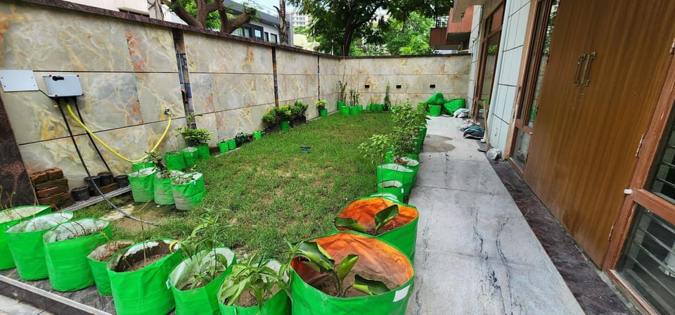 Garden view