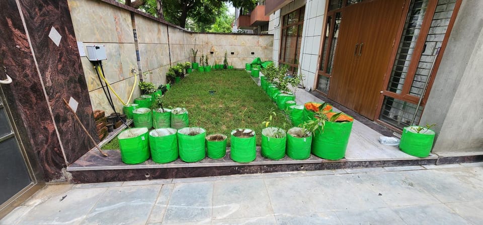 Garden