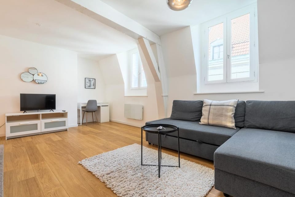 Apartment in the heart of Old Lille Apartment in Lille