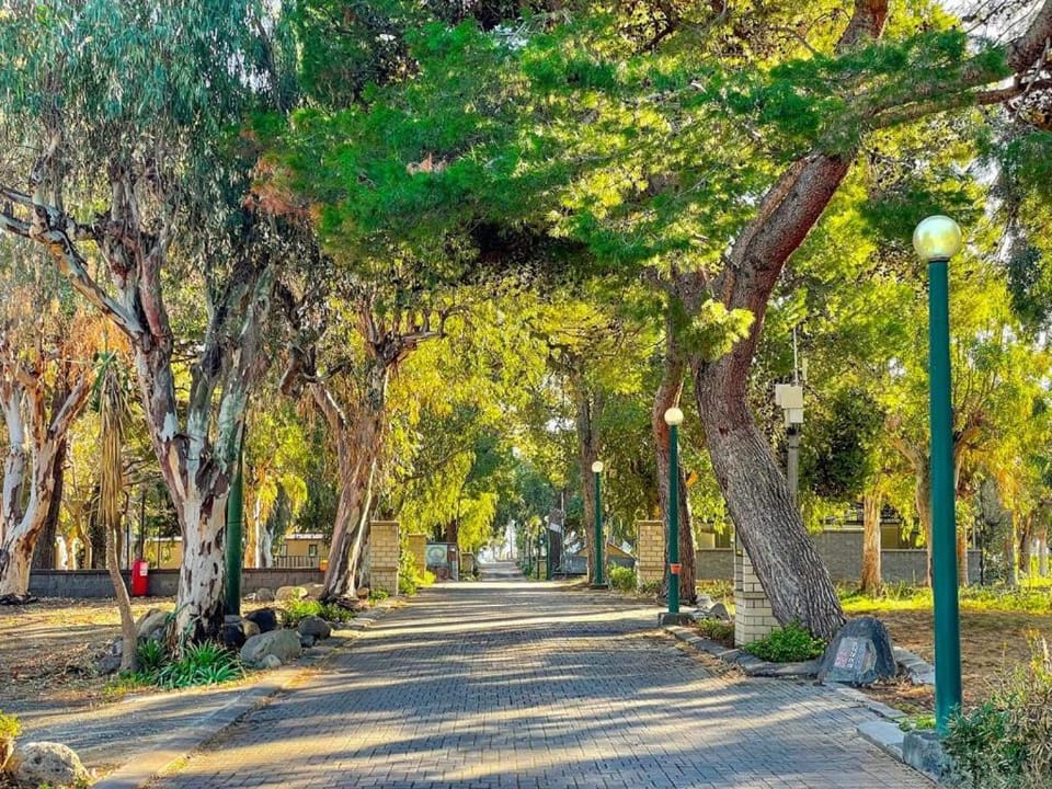 Natural landscape, Garden view
