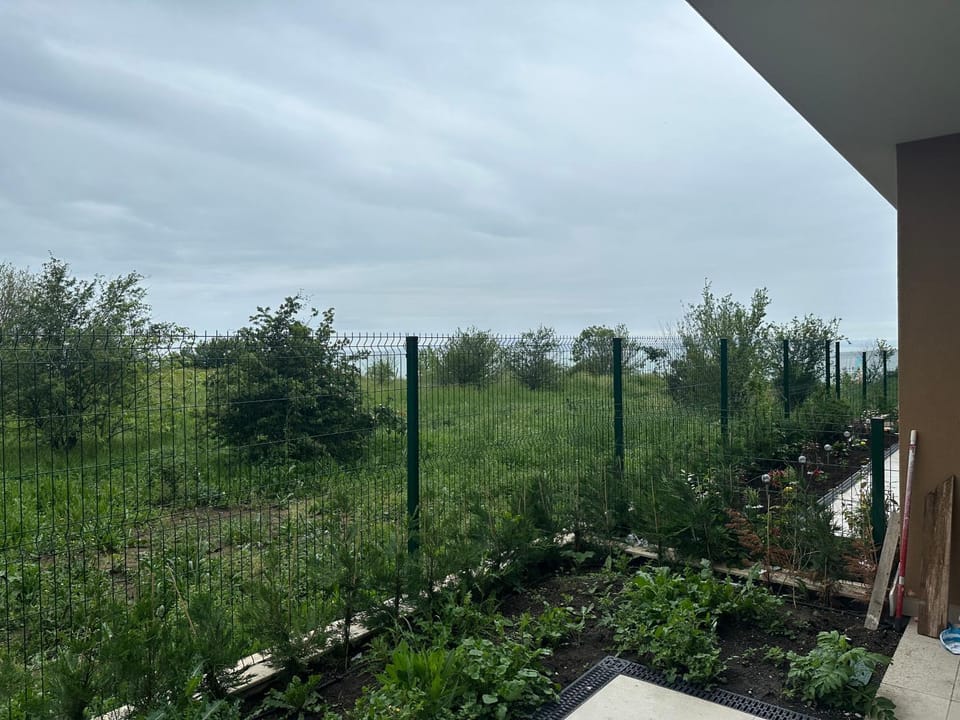 Spring, Day, Garden, Garden view