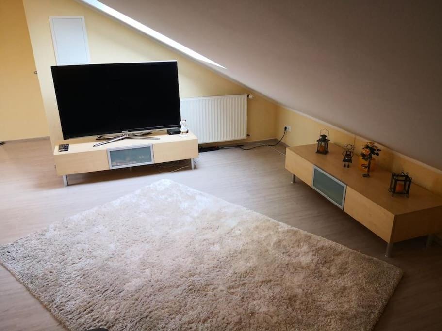 Über den Dächern von Mörfelden-Walldorf Apartment in Hesse