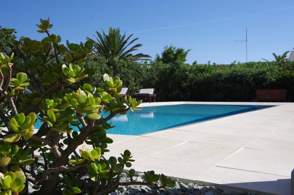 Garden, Garden view, Pool view, Swimming pool