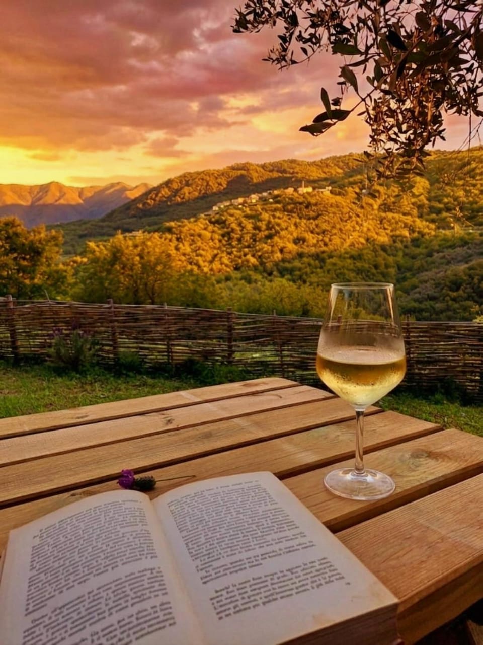Garden, Food and drinks, Garden view, Entertainment, Drinks, Alcoholic drinks