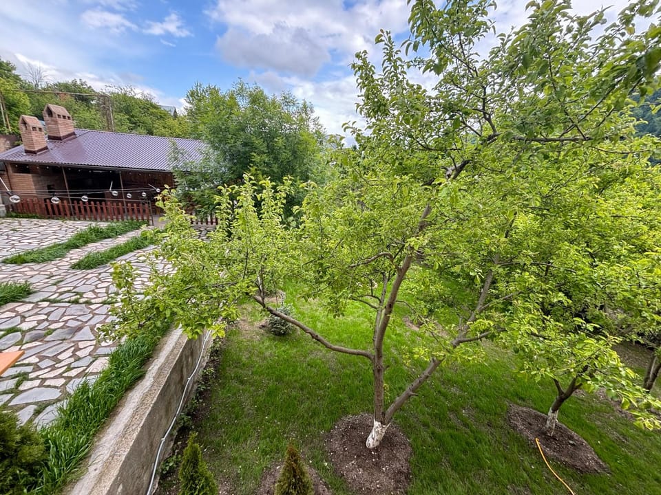 Garden, Garden, Garden view, Garden view, Garden view
